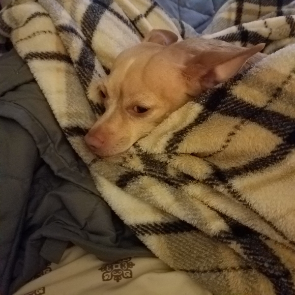 Meet your Posher, Melinda - Picture 3 of 4